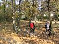 bici olera 023